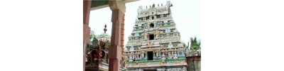 21. திருநந்திபுர விண்ணகரம்
